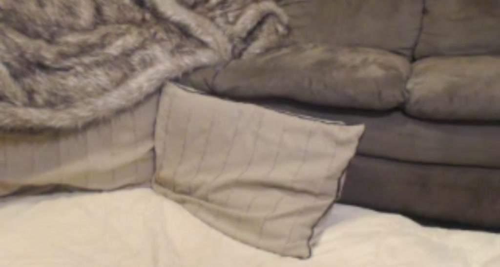 Daylyn_Reigns video thumbnail