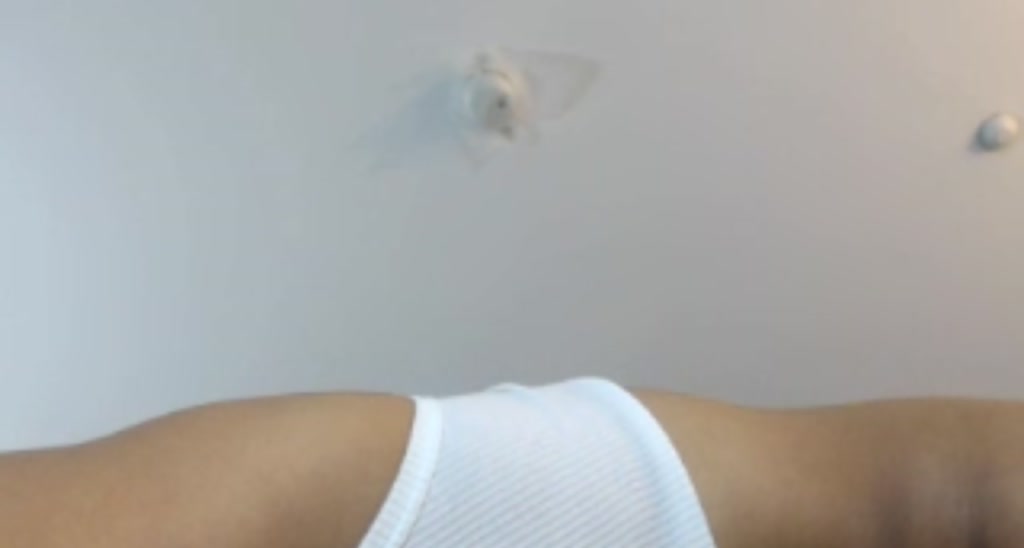 Frankiiy_ video thumbnail