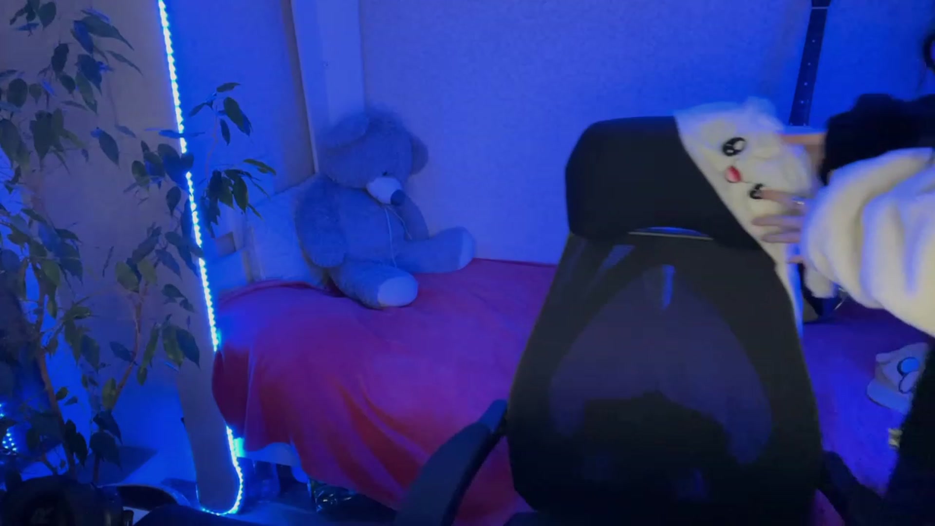 Licorice_Alia video thumbnail