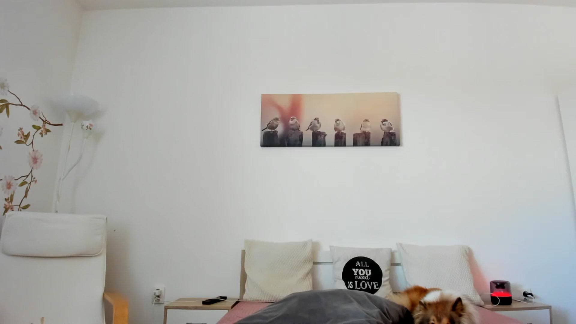Saandruskaa video thumbnail