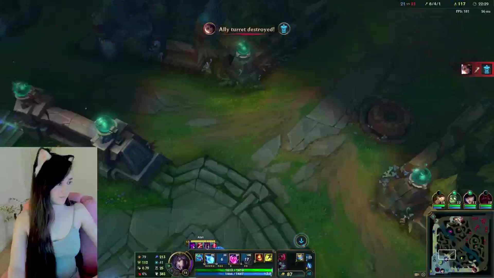 Kitty video thumbnail