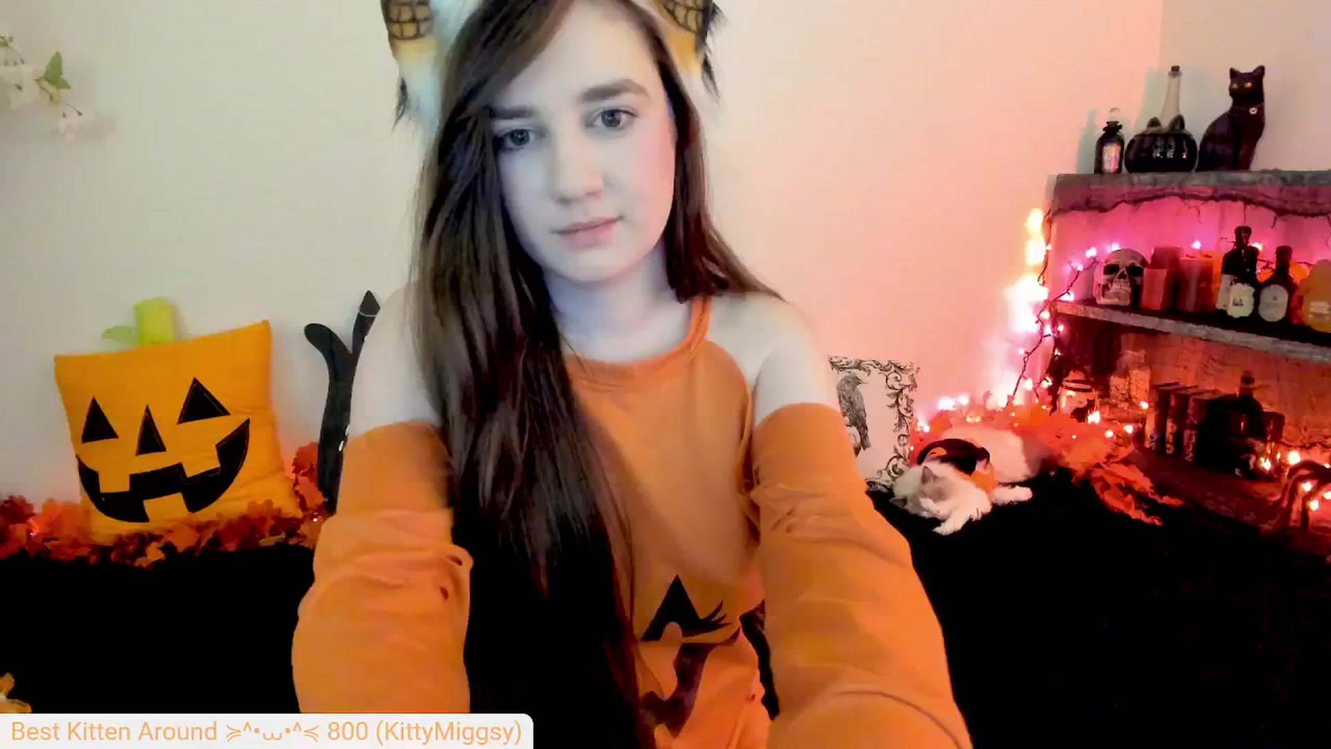 Kitty video thumbnail