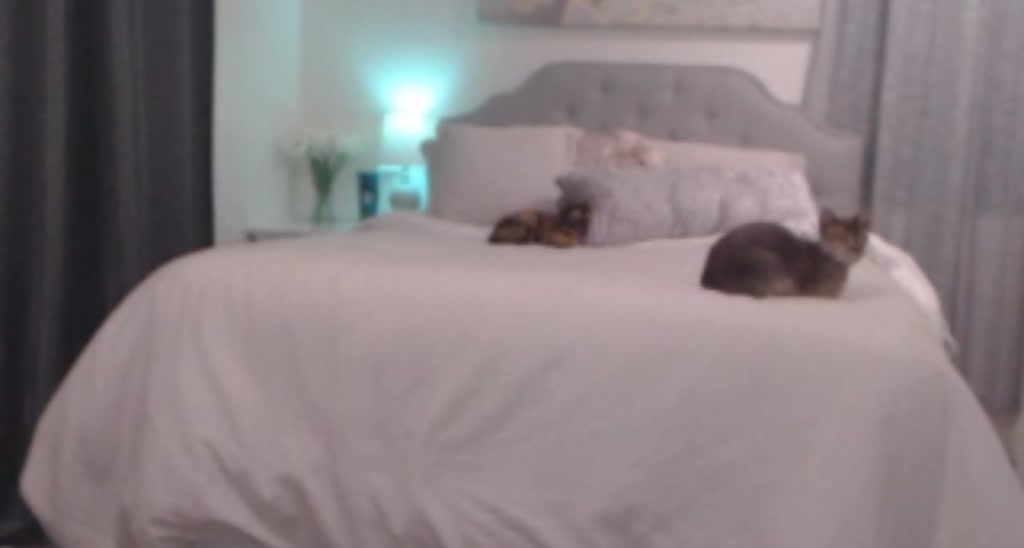 bambiii_babe video thumbnail