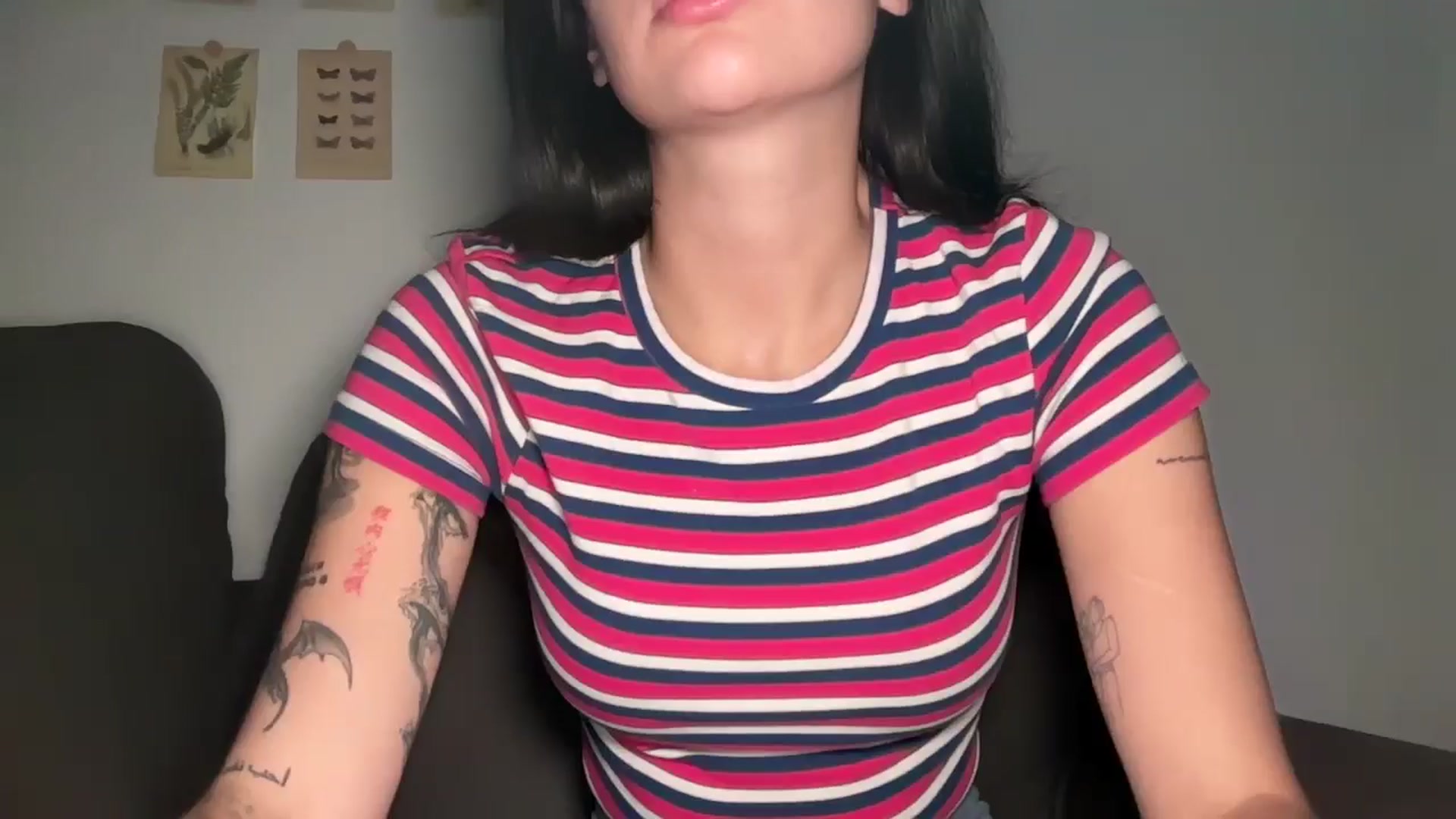 mayflowers video thumbnail