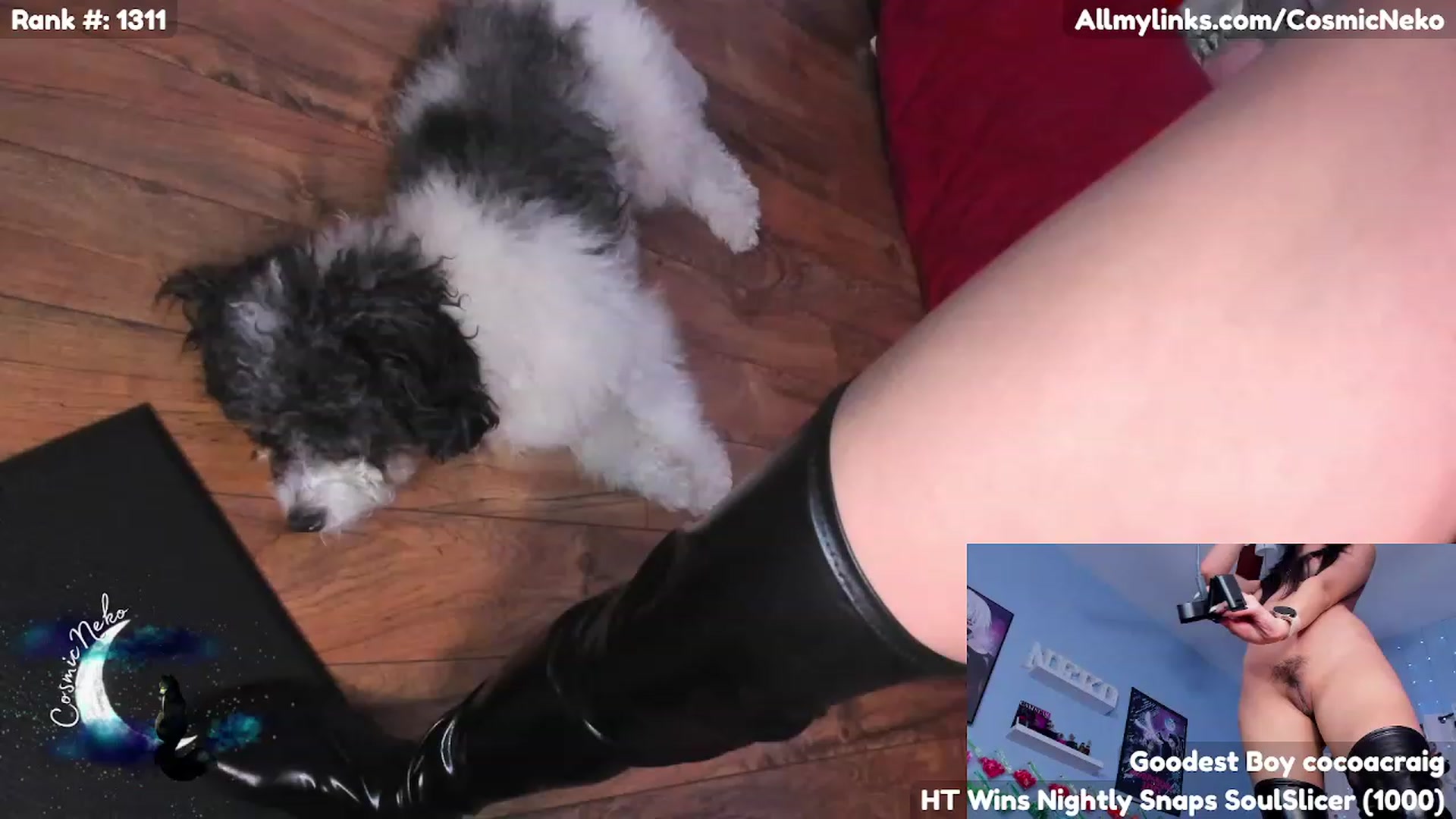 CosmicNeko video thumbnail