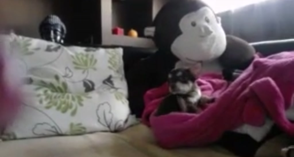 MiaMaxxx video thumbnail