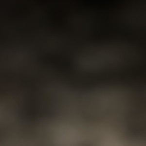 FOX_BOX's Avatar