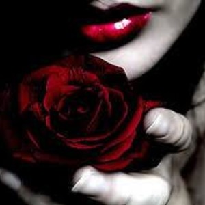 DianneMerek's Avatar