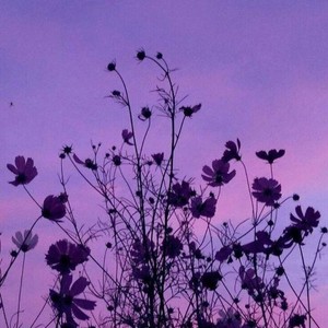 Anna_Banana91's Avatar